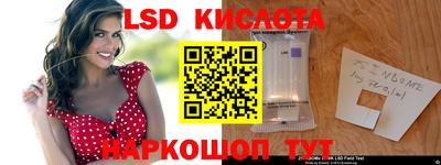 прущие грибы Будённовск