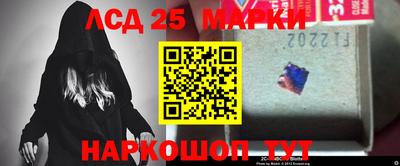 прущие грибы Будённовск